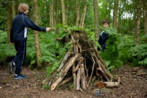 Sherfield School