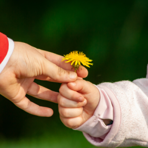 a baby giving a flower to a kid