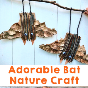 Bat Nature Craft