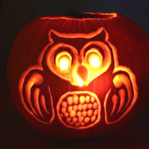 Owl Lantern